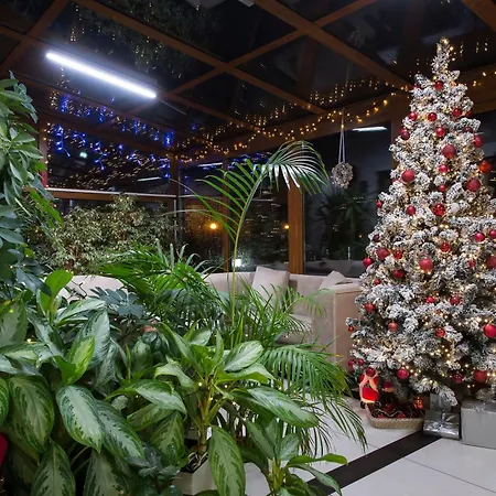 Marisol سفينويتشي