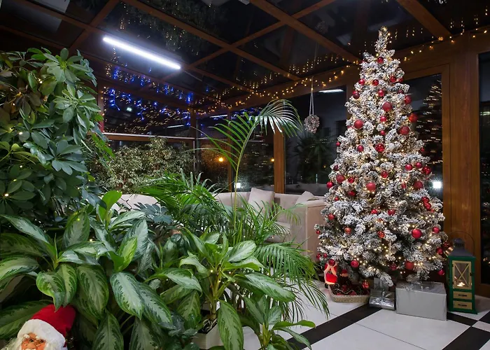 Marisol Świnoujście